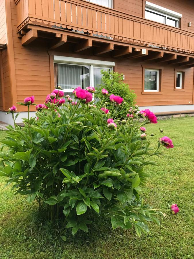 צל-אם-זי Chalet Yulia מראה חיצוני תמונה